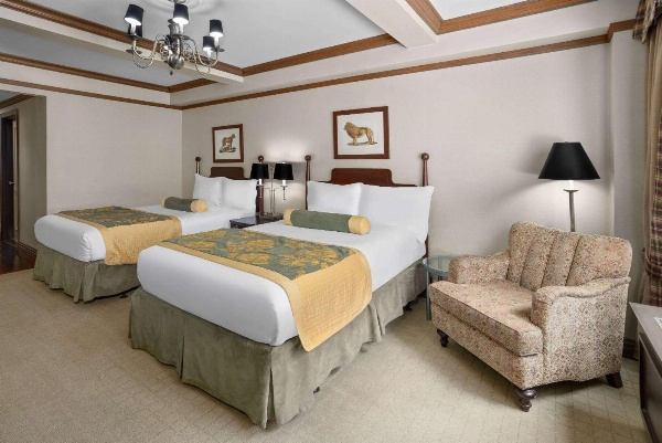 The Blakely by LuxUrban Main image